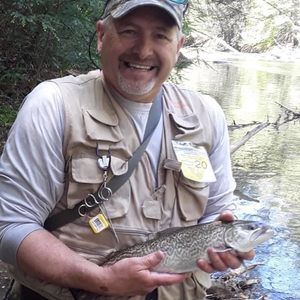 Meet your Posher, Tom